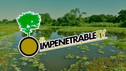 IMPENETRABLE TV  12-08-23