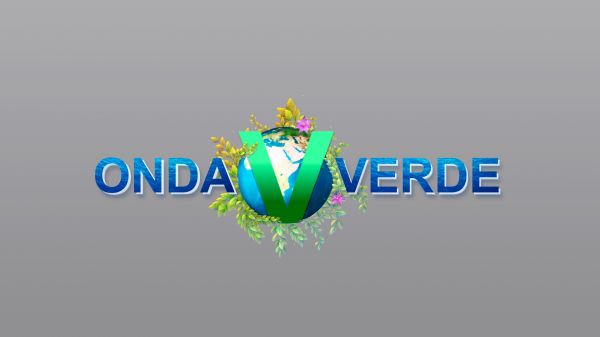Onda Verde | T: 2023 | 14.01