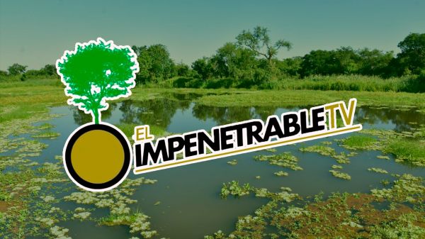 Impenetrable TV | T: 2023 | 16.12